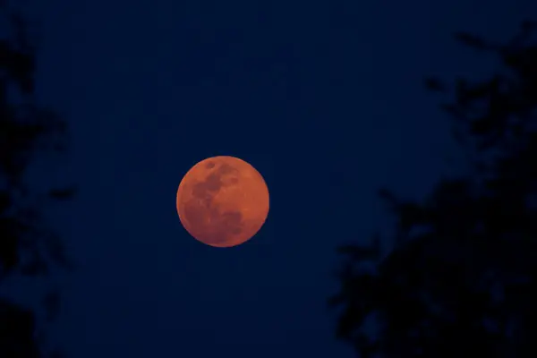 2011_08_13_18_02_31_4038.jpg