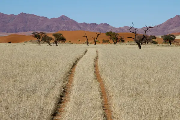 2011_08_25_09_45_22_6664.jpg