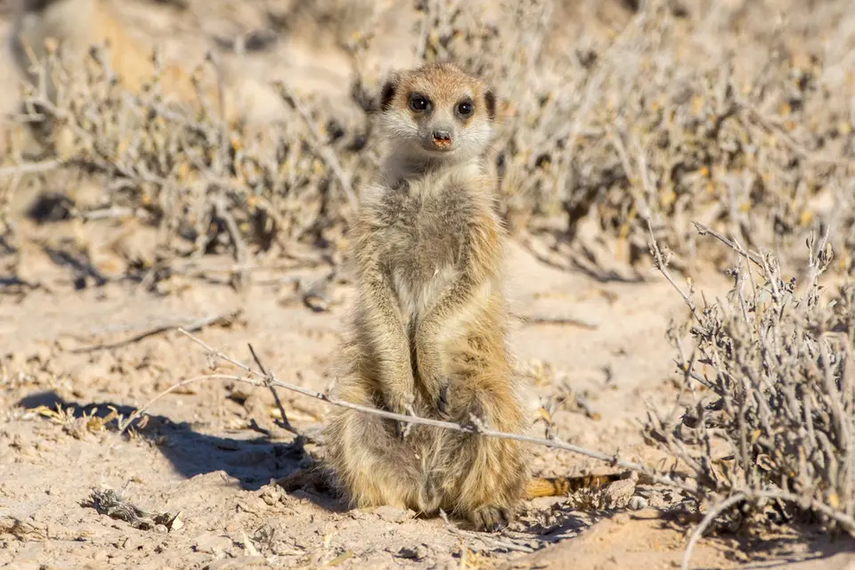 20160728-094936-LV6A3827.jpg