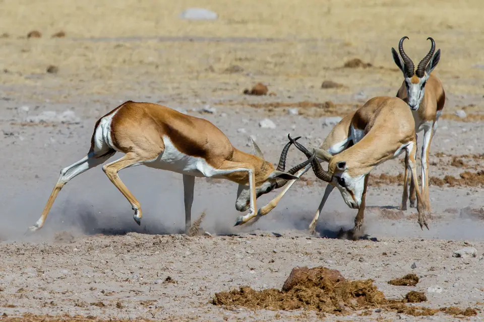 20160807-102106-IMG_2646.jpg