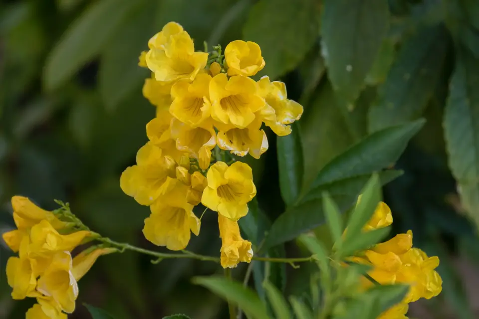 20170727-171640-7D3_1545.jpg