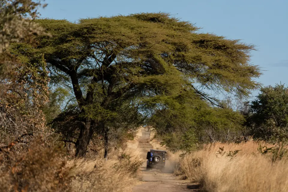 20180717-150617-009_2018_Afrika_1010.jpg
