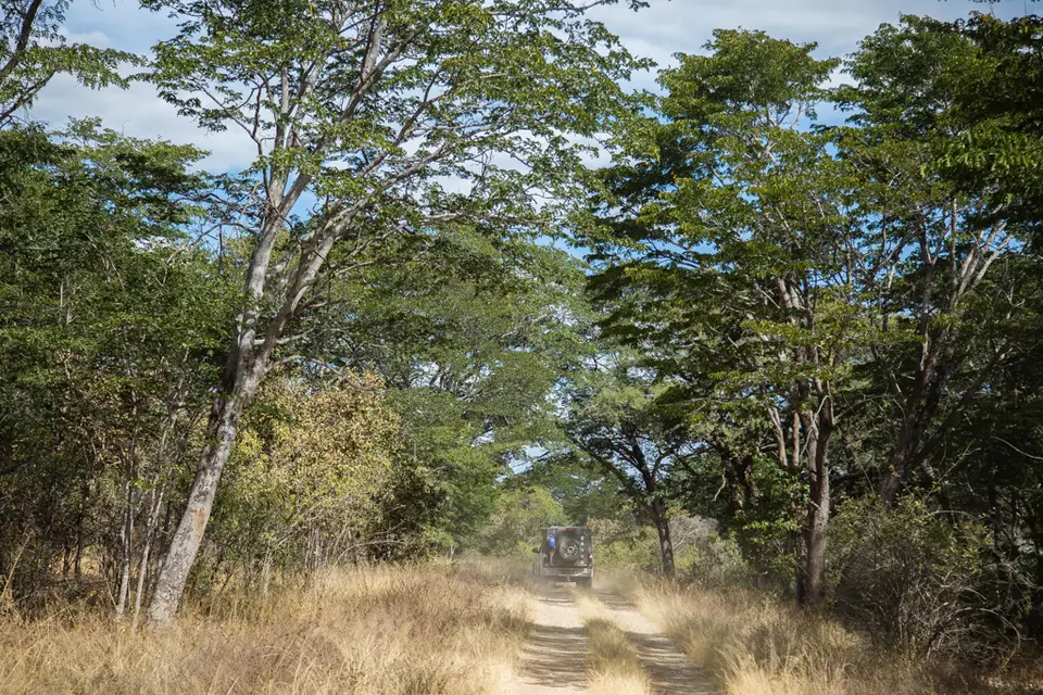 20180720-135904-5N7A2298.jpg