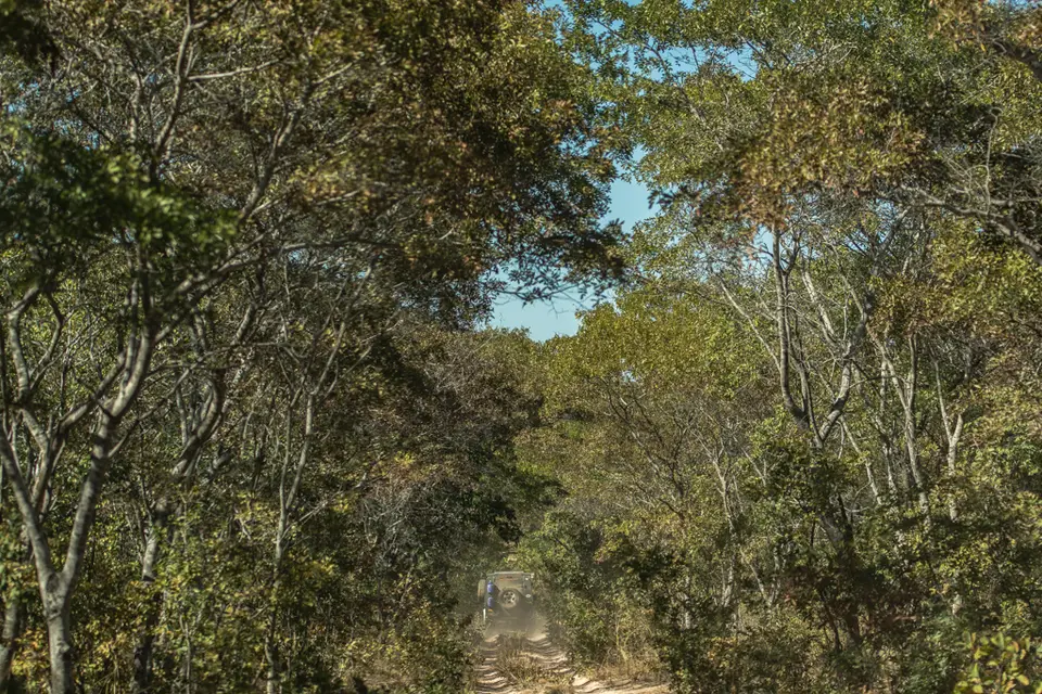 20180725-100514-096_2018_Afrika_2924.jpg