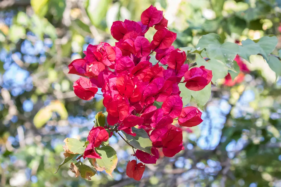 20180726-075900-7D3_5874.jpg