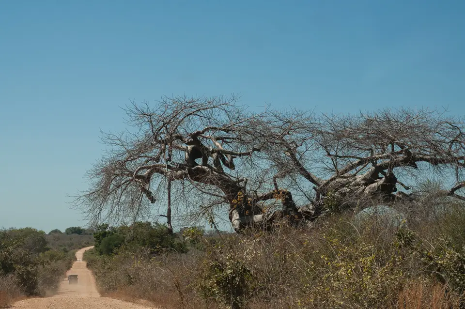 20180726-125031-129_2018_Afrika_2681.jpg