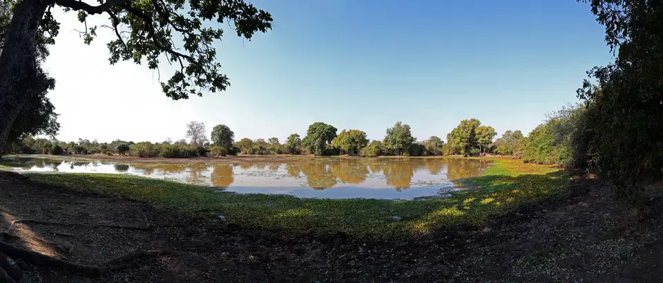 20180728-084508-ManaPools-Pano-1500.jpg