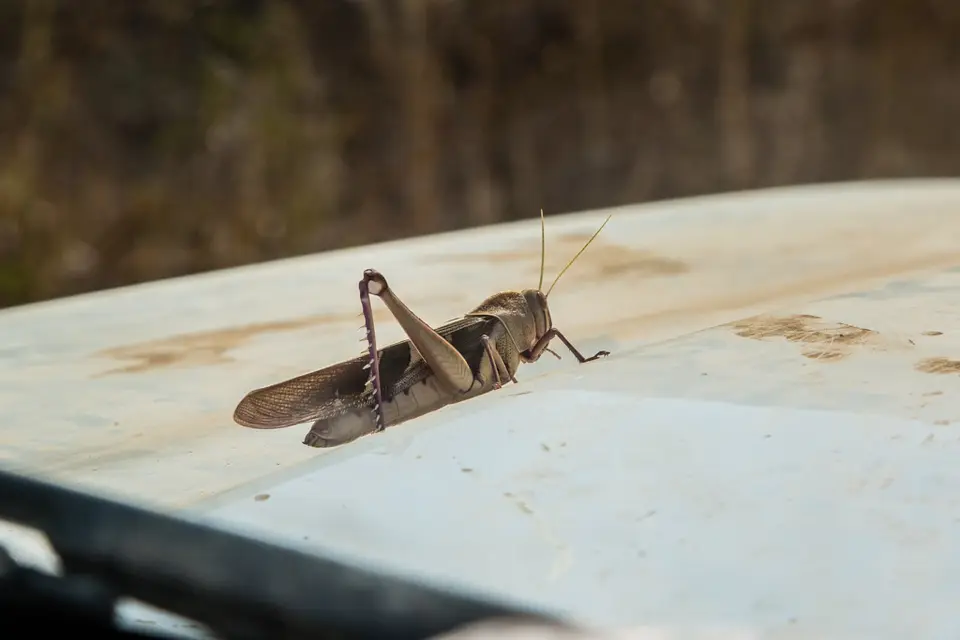 20180803-144316-5N7A0146.JPG