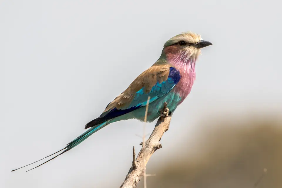 20180809-103817-LV6A2808.JPG
