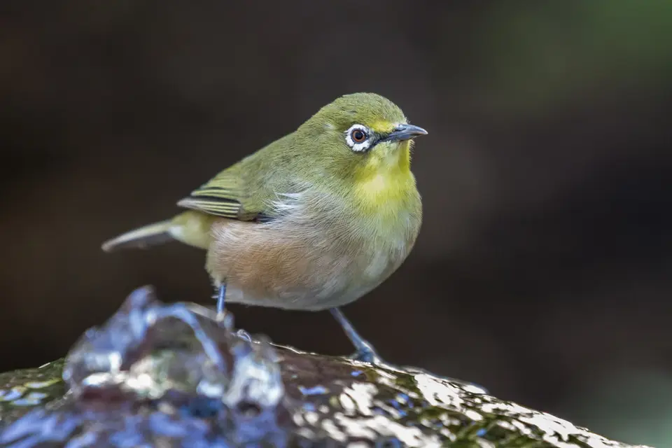 20180814-151932-7D3_2654.JPG