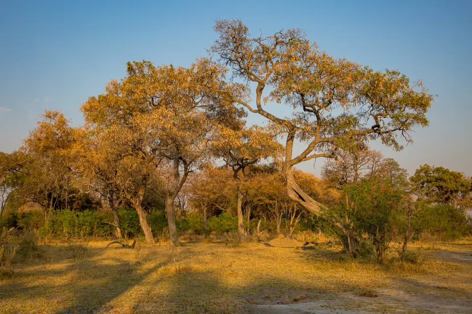 20181021-064450-5N7A1890-HDR.JPG