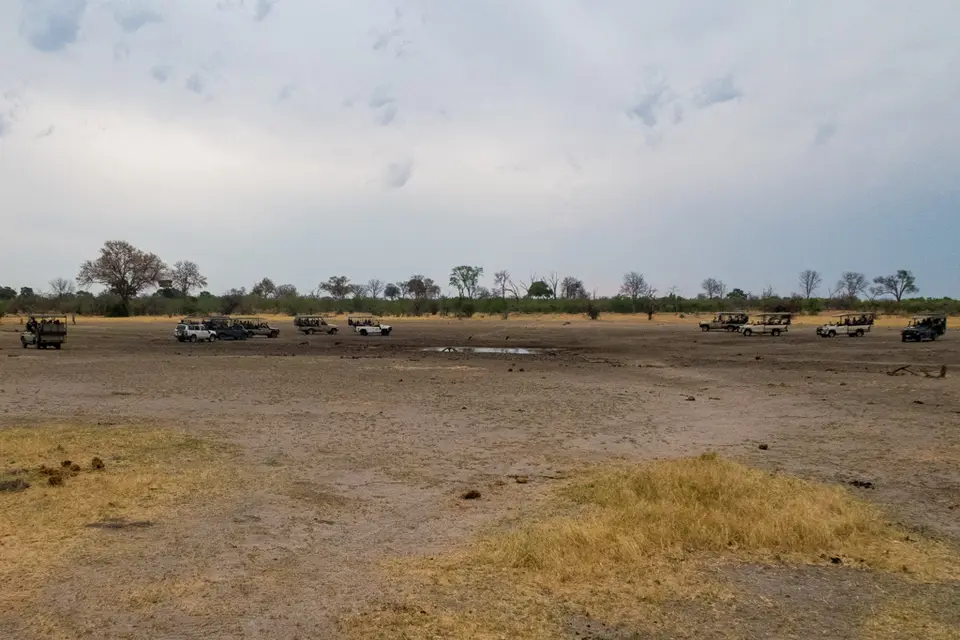 20181021-173350-IMG_8827.JPG