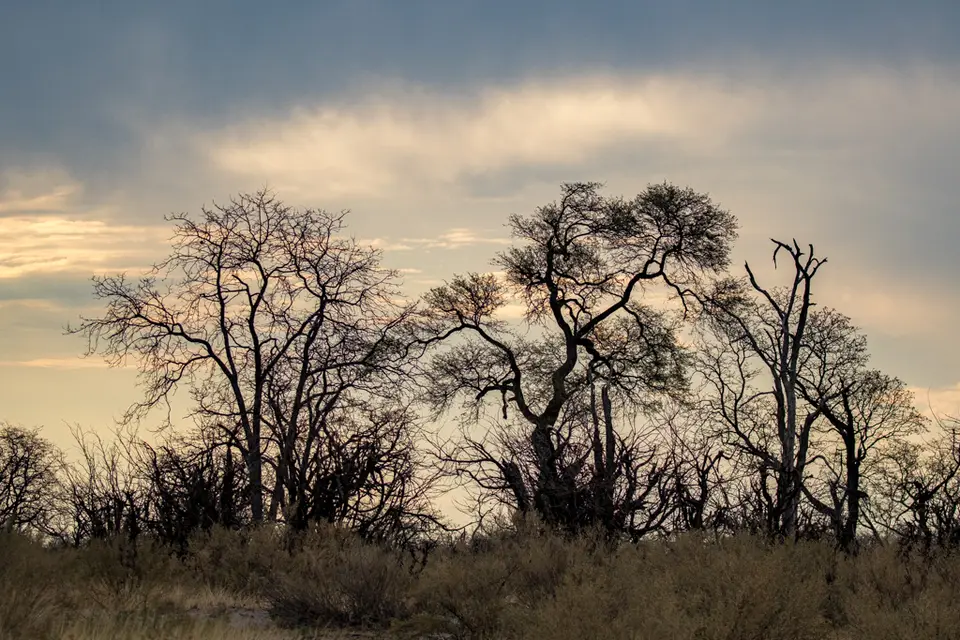 20181022-173131-7D3_8829-HDR.JPG