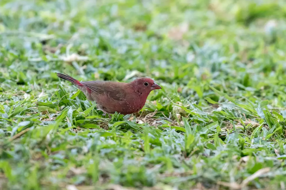 20181026-134730-7D3_0365.JPG