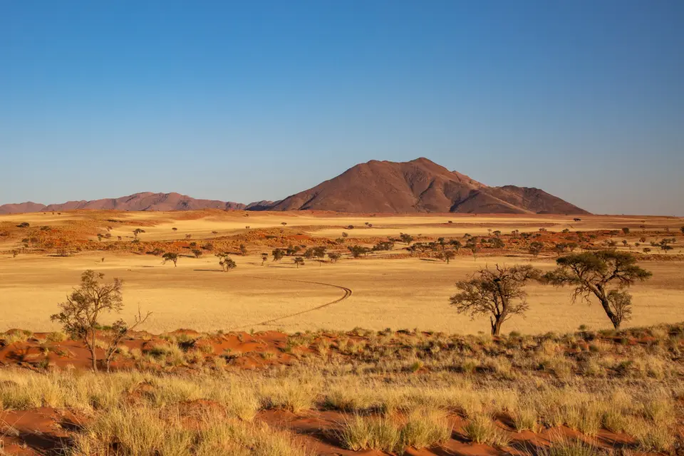 20210710-083020-5N7A7176.jpg