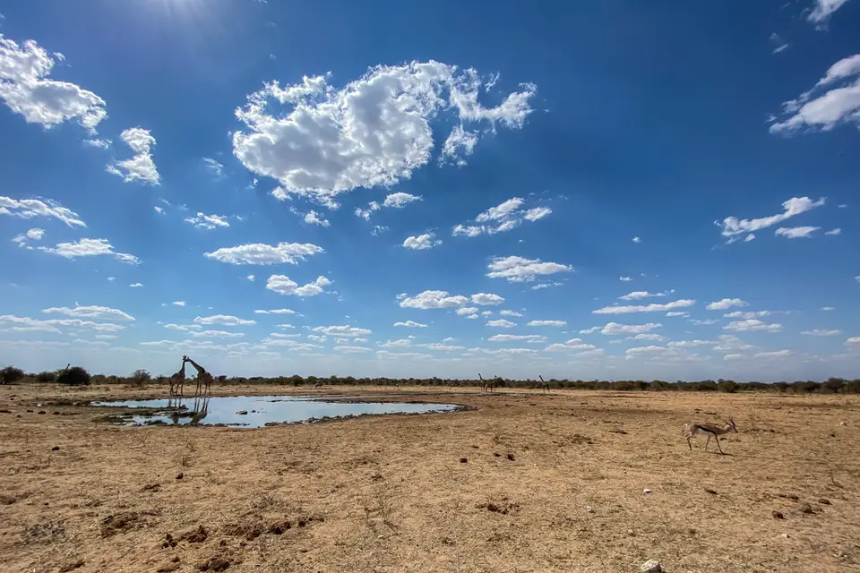 20210716-135103-IMG_7487.jpg
