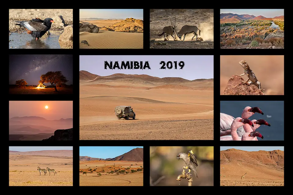 Bilder-2019.jpg