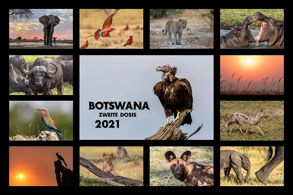 Bilder-2021-2.jpg