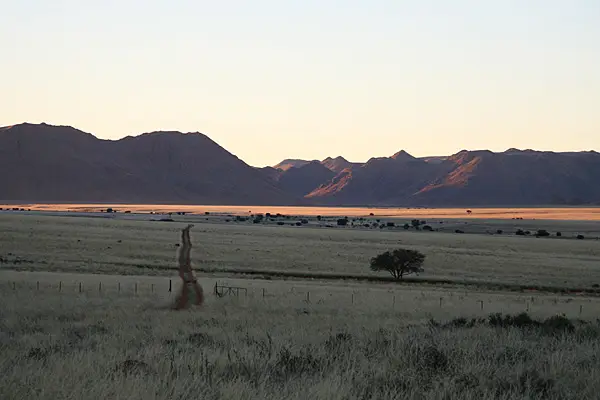 Farm-Tiras.jpg