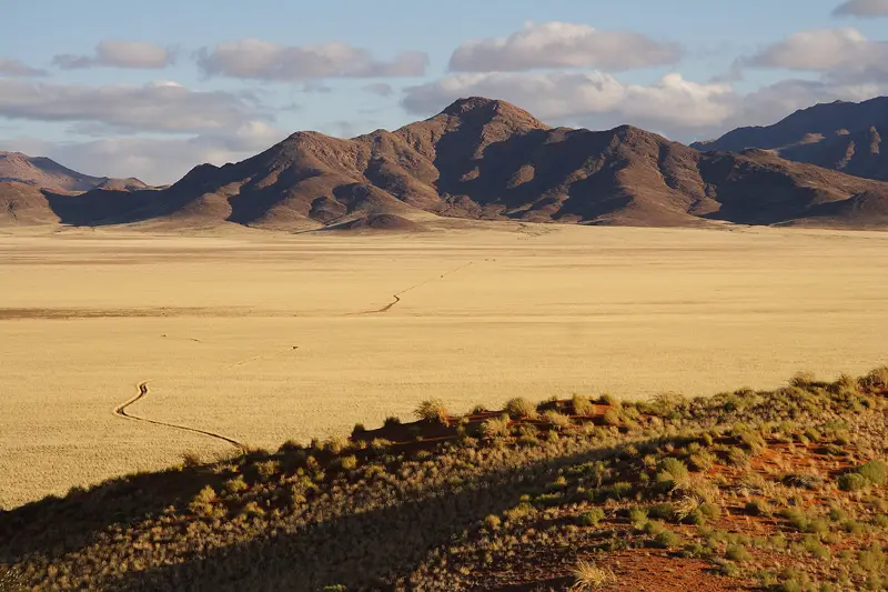 Namib-Rand.jpg