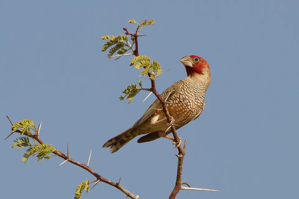 hec08ab3.jpg