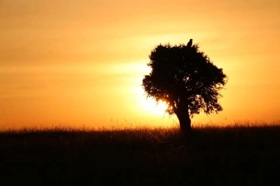 SonnenuntergangMasaiMara(2).JPG
