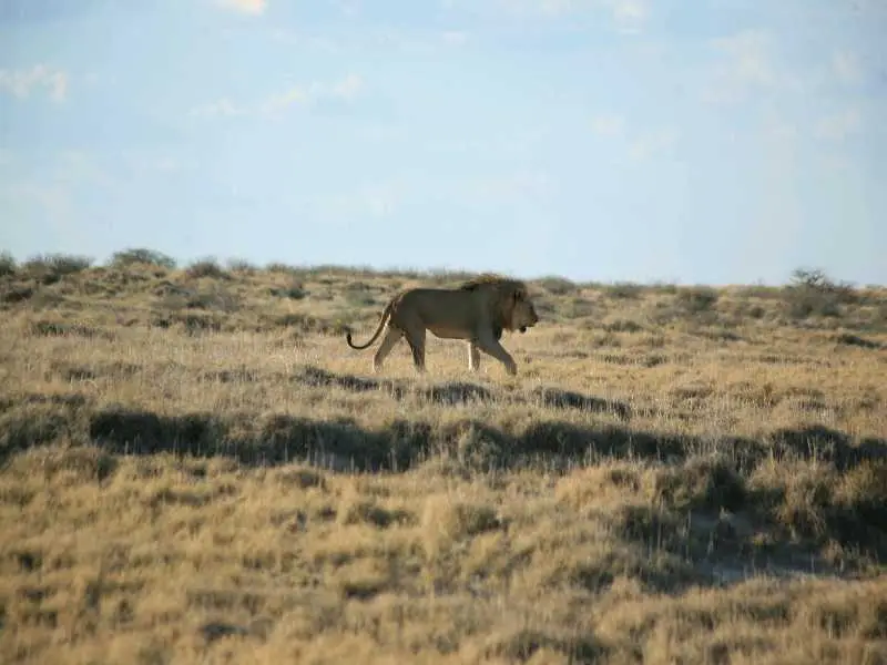 IMG_1473.JPG