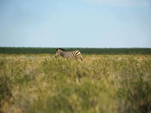 k-IMG_1608_1.JPG