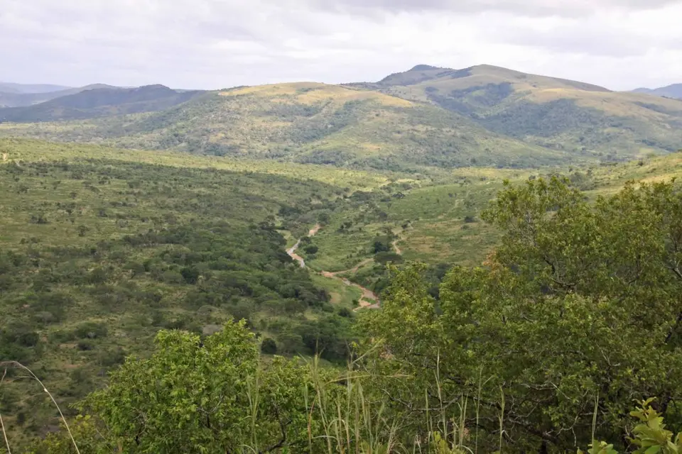 h01b427e.jpg