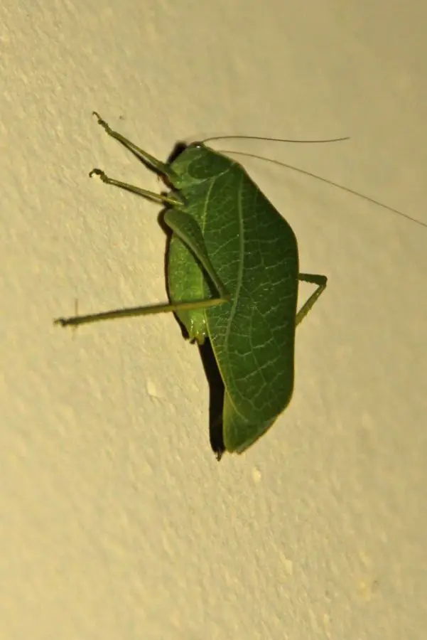 h649836f.jpg