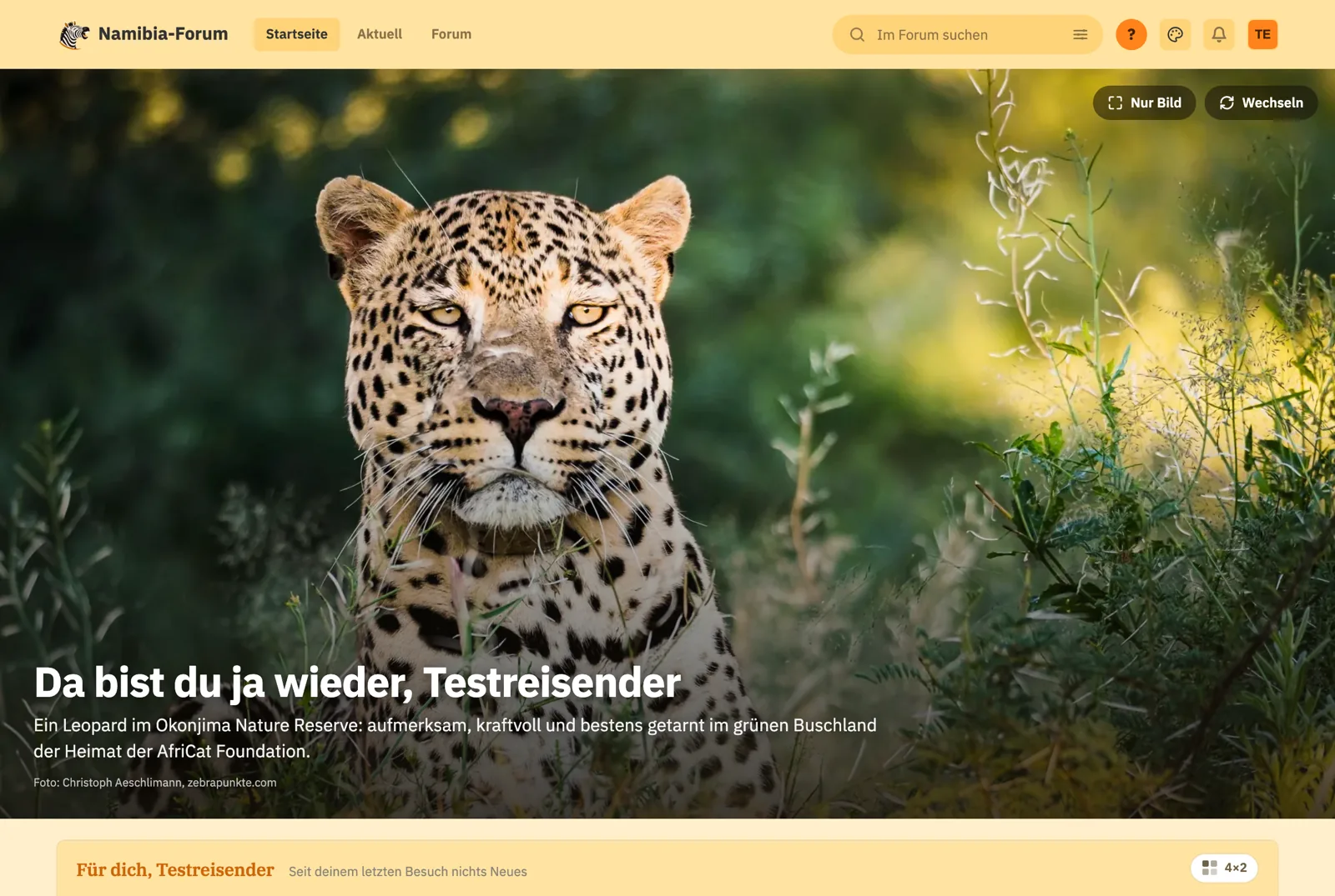 Die Startseite des Namibia-Forums