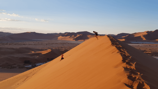 20190419_073817.gif