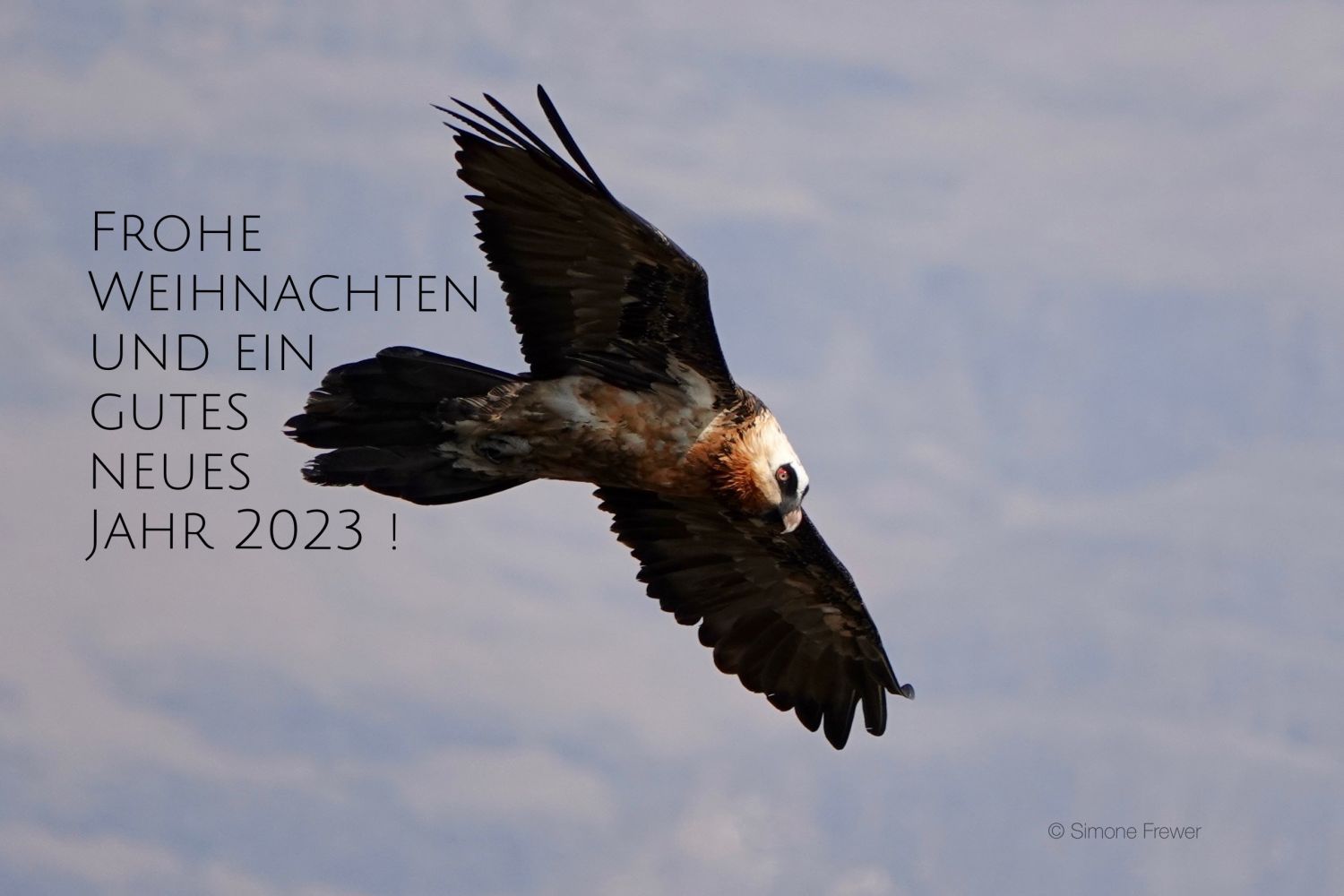 0C7A3D27-7984-42CD-AA78-2740532A673C.jpeg