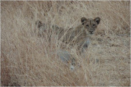 h3080ed3.gif
