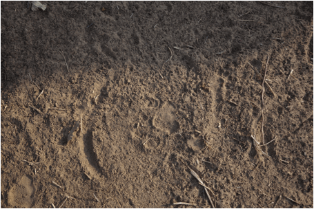 he679a6b.gif