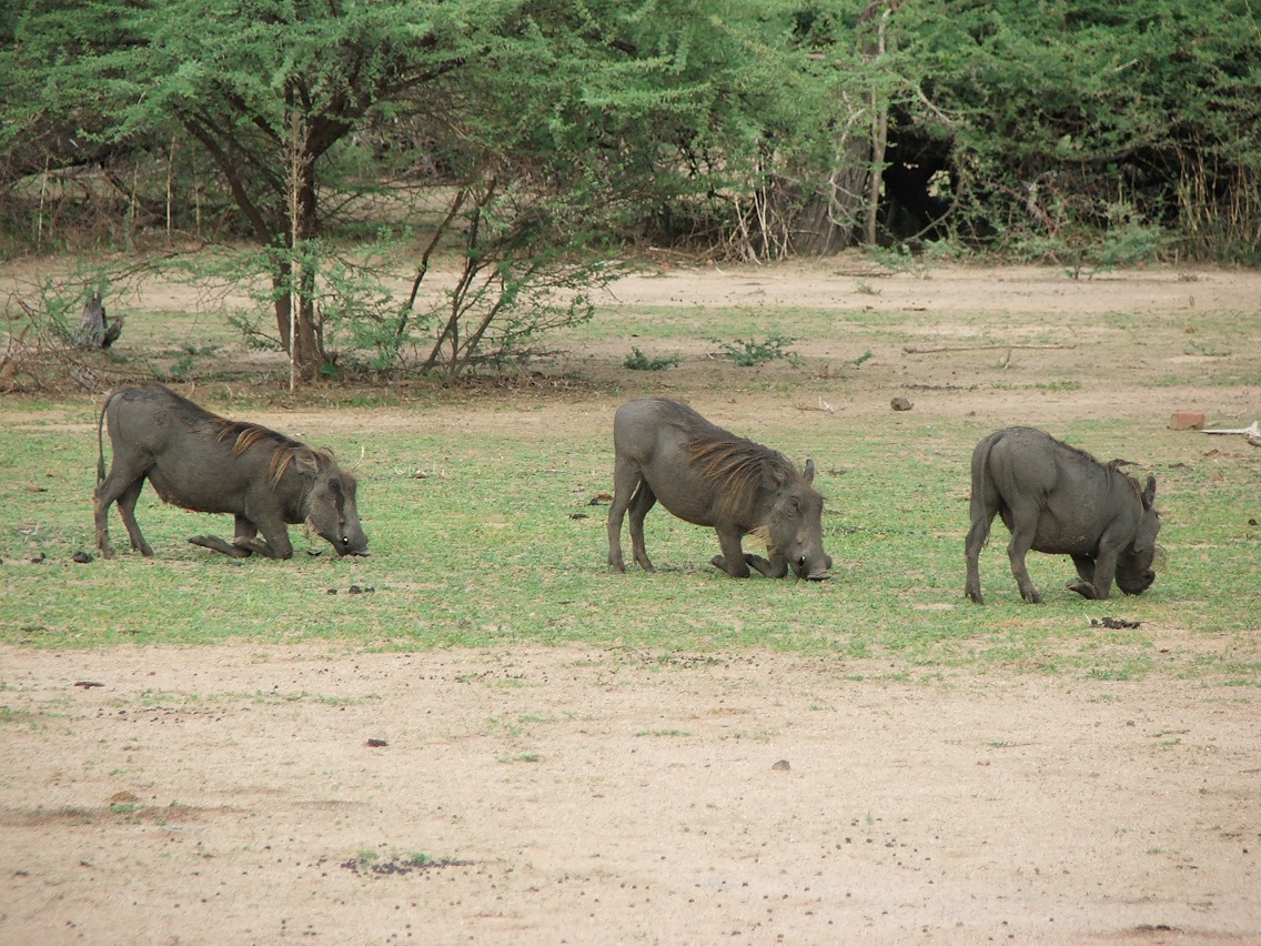 DSCF0570.JPG